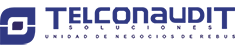 TELCONAUDIT